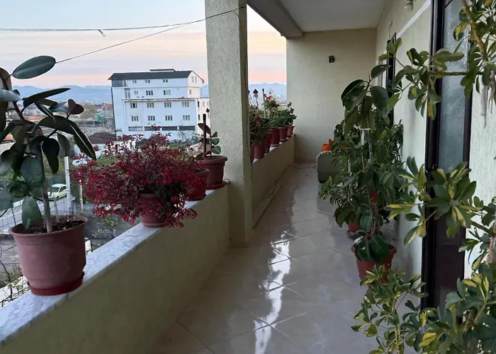 Villa's Daci 公寓 地拉那