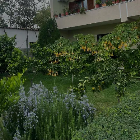 Apartment Airport Garden House