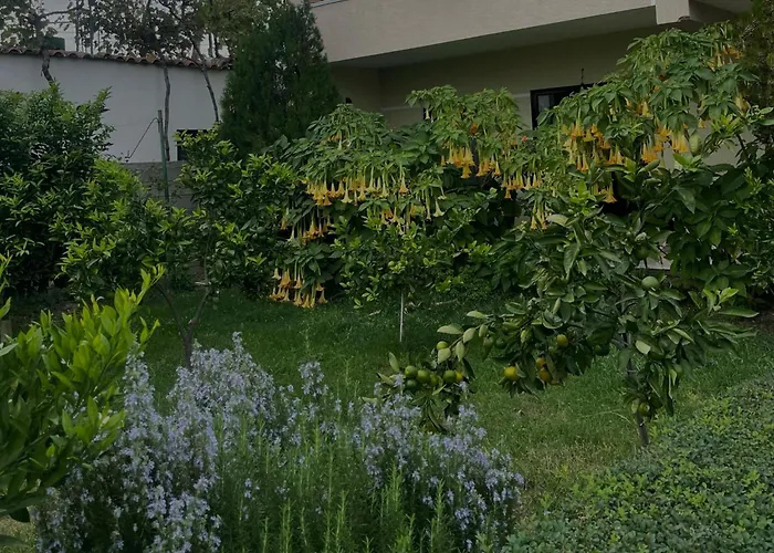 Appartement Villa's Daci